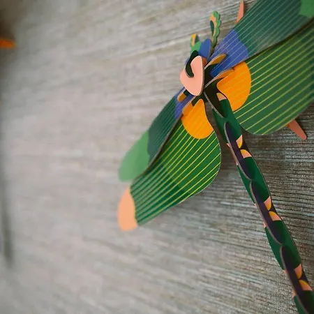 Caldas W/ Ac & Fast Net Apartamento